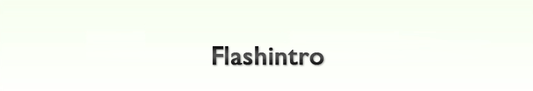 Flashintro